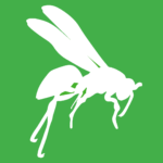 White vector graphic of wasp on a green background. 